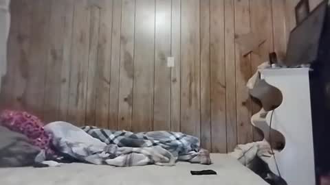 Snapshot of straighttoy chatting on 3, 3, 2025 straighttoy online show from 3, 3, 2025