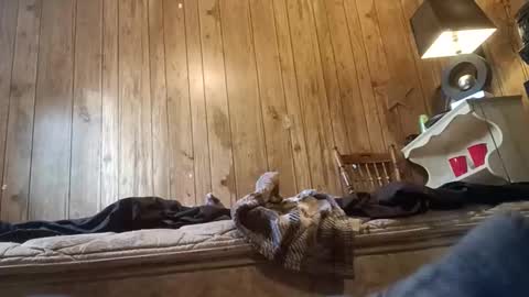 Snapshot of straighttoy chatting on 3, 11, 2025 straighttoy online show from 3, 11, 2025