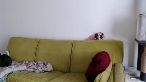 Snapshot of strawberrylotsacake chatting on 13, 5, 2026 Strawberrylotsacake online show from 13, 5, 2026