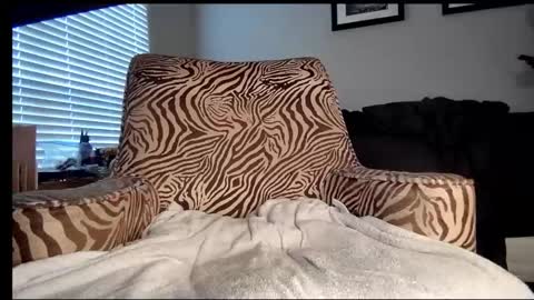 JVCKRABBIT online show from 16, 9, 2025