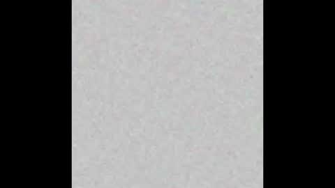 stud4cougar online show from 26, 11, 2025