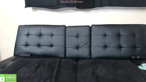 Snapshot of studiowahines chatting on 29, 1, 2025 StudioWahines online show from 29, 1, 2025