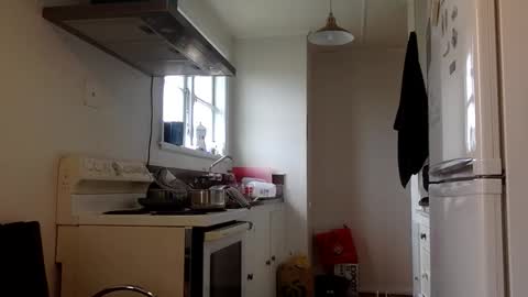 stugo1964 online show from 24, 9, 2025