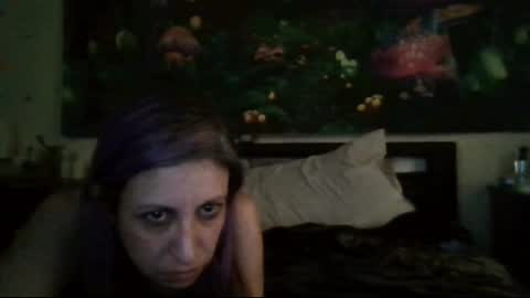 Snapshot of sty57039 chatting on 24, 2, 2025 Stycock88 online show from 24, 2, 2025