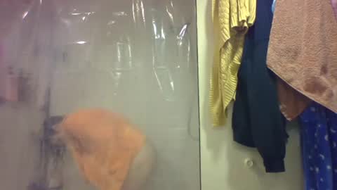 sub4you69brat online show from 20, 12, 2025