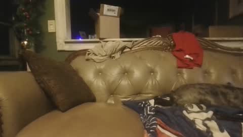 sub_michael41 online show from 21, 12, 2024