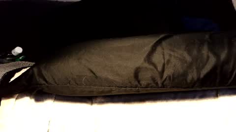 between my legs online show from 17, 6, 2026