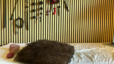 Snapshot of submissivesluttie chatting on 17, 7, 2026 Submissive Slut online show from 17, 7, 2026