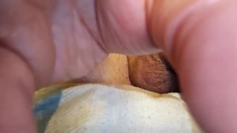 sucherealetreffen online show from 11, 12, 2024