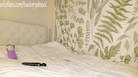 Maya online show from 1, 2, 2026