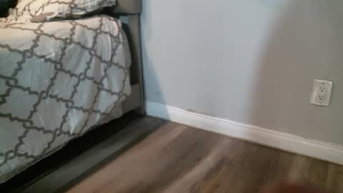 Snapshot of sugar1014 chatting on 9, 9, 2025 sugar1014 online show from 9, 9, 2025