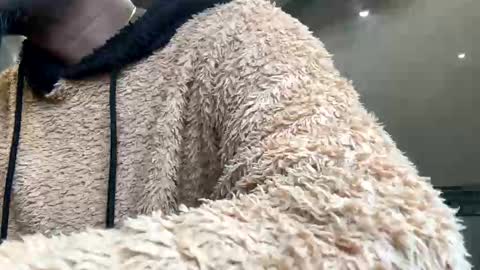 sugarcockydaa online show from 22, 1, 2025