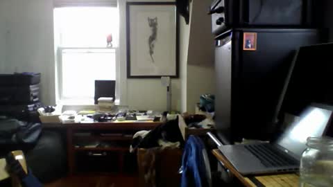 Snapshot of sugardotdom chatting on 14, 4, 2026 Sugar online show from 14, 4, 2026