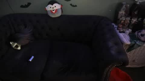 Sugary online show from 14, 2, 2025