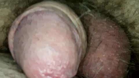 Snapshot of sugus56 chatting on 20, 5, 2026 Samenspender online show from 20, 5, 2026