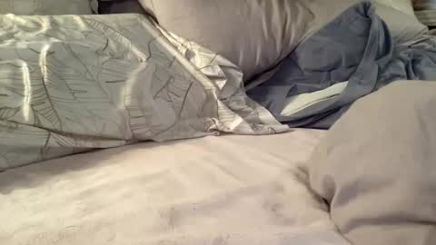 Summer online show from 26, 11, 2025