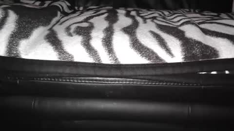 s online show from 24, 12, 2024