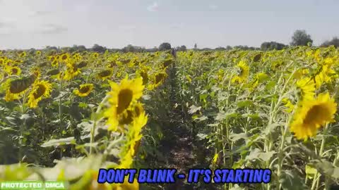 Tina. Im topless model  online show from 5, 2, 2026