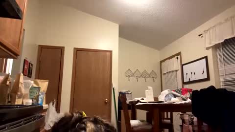 Snapshot of sunnbabe92485 chatting on 11, 9, 2025 sunnbabe92485 online show from 11, 9, 2025