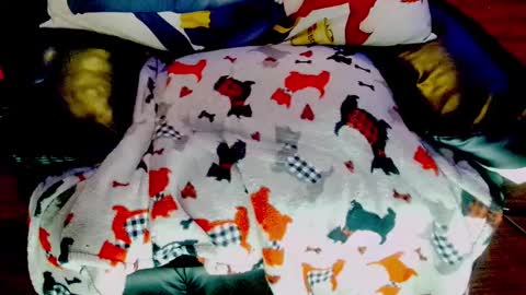 Sunny Marcie online show from 3, 2, 2025