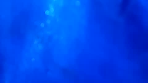 superarce online show from 12, 1, 2025