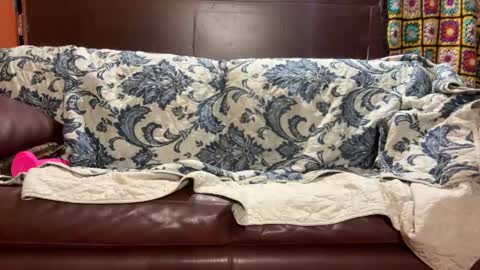 Stony online show from 14, 1, 2025