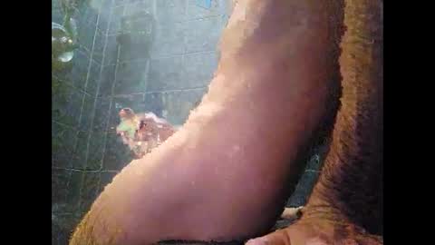 Snapshot of surferxzx chatting on 27, 1, 2025 surferxzx online show from 27, 1, 2025