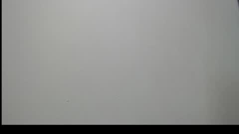 Snapshot of sussy_leon chatting on 16, 12, 2024 sussy leon online show from 16, 12, 2024
