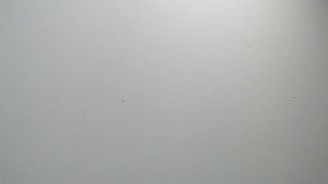 Snapshot of sussy_leon chatting on 11, 2, 2025 sussy leon online show from 11, 2, 2025