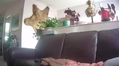 Otto online show from 7, 10, 2025