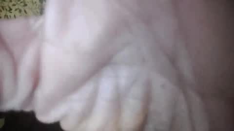 suzuki1250 online show from 5, 4, 2026