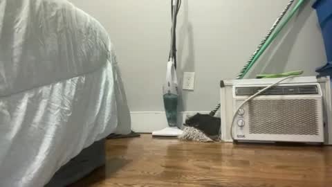 Just E  F3M B0i  online show from 7, 3, 2025