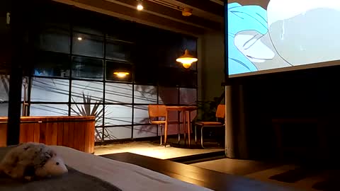 Snapshot of svenseries chatting on 19, 2, 2025 svenseries online show from 19, 2, 2025