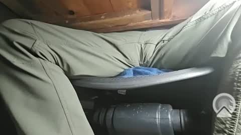 Snapshot of swamp486822 chatting on 5, 2, 2025 swamp486822 online show from 5, 2, 2025