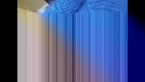 Snapshot of sweaterboy666 chatting on 4, 12, 2025 sweaterboy666 online show from 4, 12, 2025