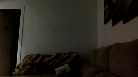 ALBA online show from 6, 11, 2025