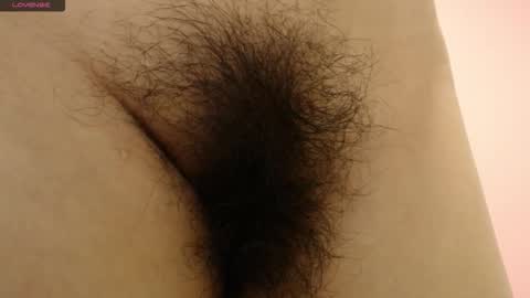 Barbara online show from 10, 1, 2026