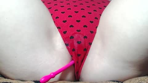 Kitten online show from 17, 5, 2026