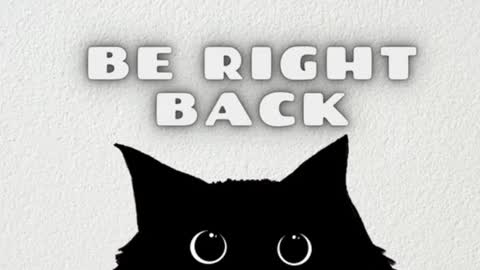       Independent model online show from 14, 1, 2025