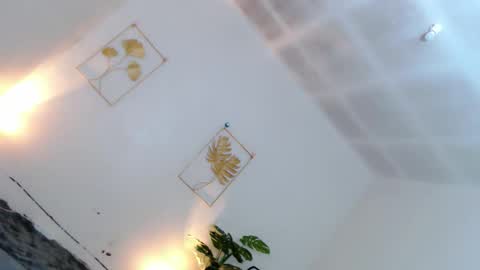 May online show from 1, 12, 2025