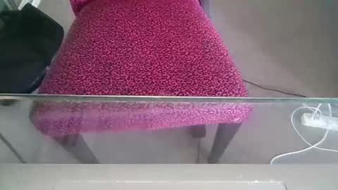 sweetiepuppy421 online show from 2, 3, 2026