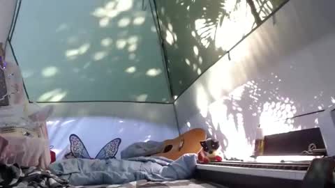 April online show from 21, 11, 2025