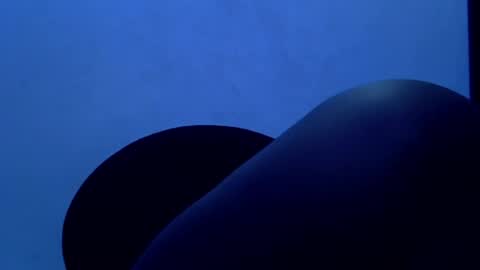 Snapshot of sweetpetitgirl chatting on 1, 5, 2026 LILY BRANDY online show from 1, 5, 2026