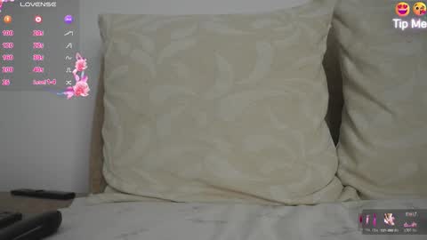 Hello Welcome Im here from WEDNESDAY to SUNDAY 430am to  830am and 3  to 7  timeMONDAY and TUESDAY i rest online show from 24, 3, 2026