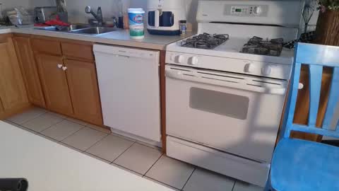 ashley blayde online show from 8, 12, 2024