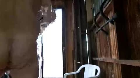 syevecrl online show from 27, 10, 2025