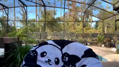 Jennah online show from 1, 2, 2025