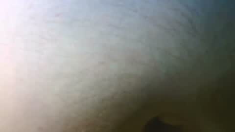 syrius57920 online show from 7, 11, 2025