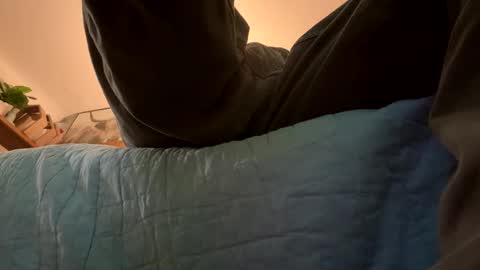 tRex online show from 16, 11, 2025