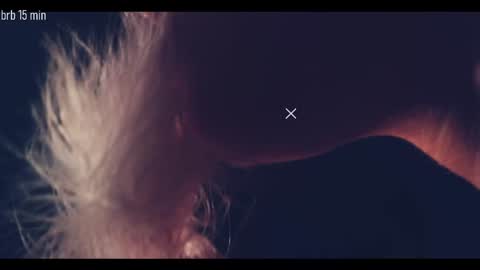 TAANNI online show from 18, 9, 2025